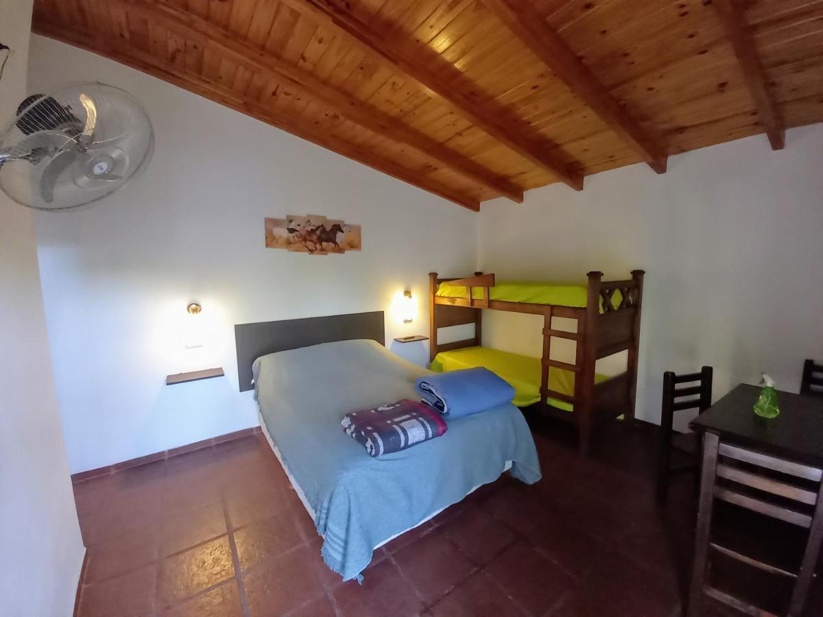 Guest house El Trebol - *